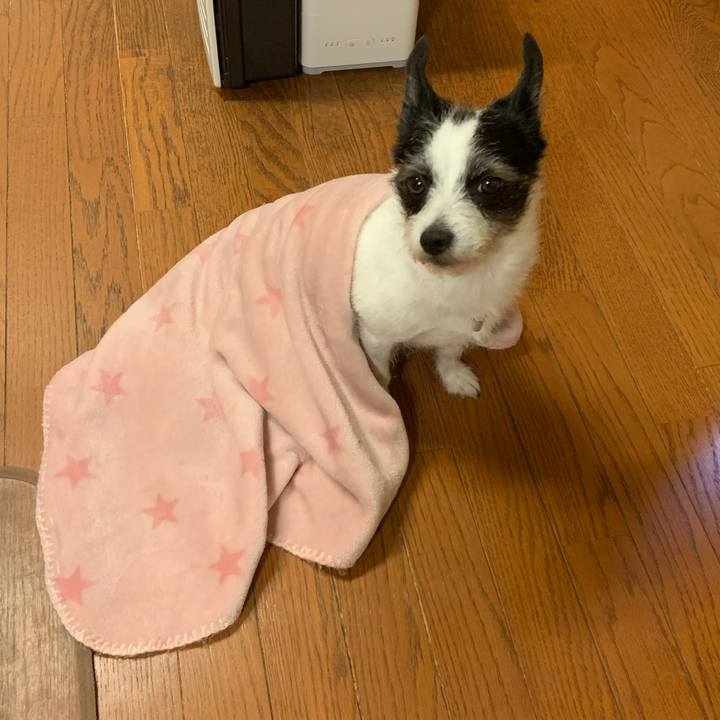 1a3b3707 b3cb 423a b105 c2fa36335480 1616208681528