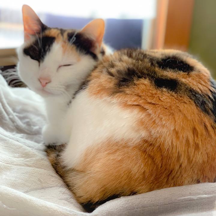 1a3b441b f07d 428d ba24 a8aaca8af32c 1560130564056