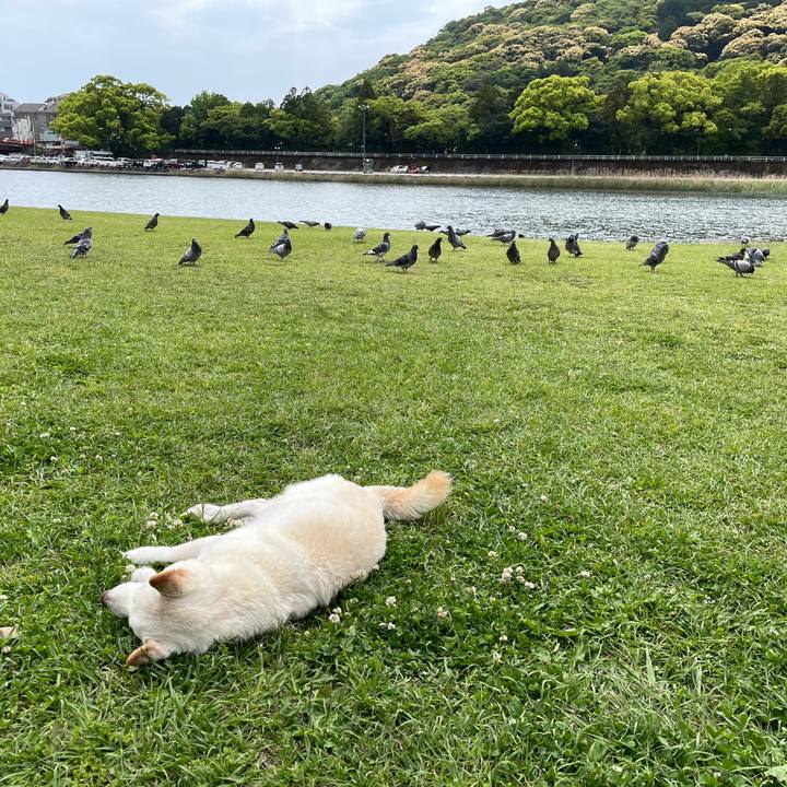 1a3b5c2a 7f90 4eb1 a690 3d18798c02c1 1650706041634