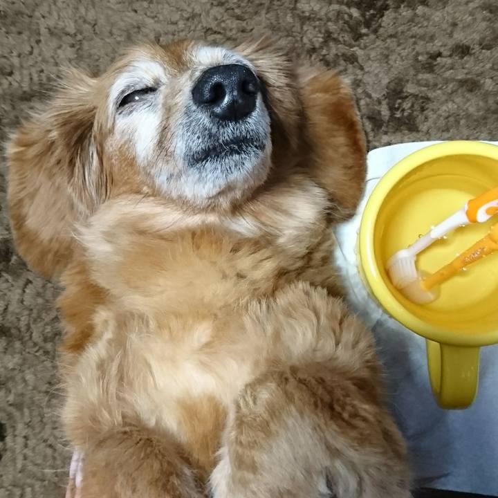 1a3b6f0c 67fc 44b9 88d8 7f8c62aa1d38 1510163101048