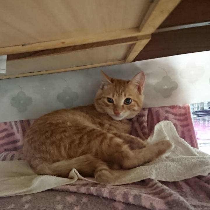 1a3b8907 854d 434a ac1f fc3d65f6331d 1635287271924