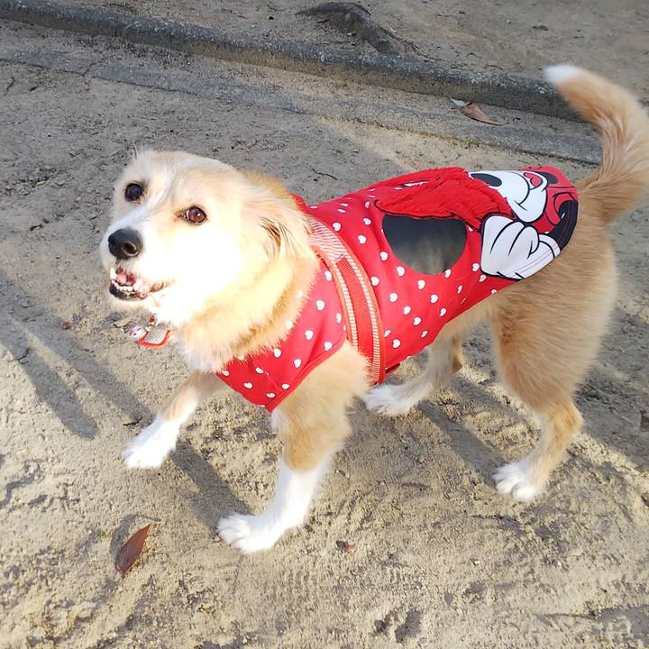 1a3bb2c7 e754 44c0 a3df 52d97e6abb88 1547795761333