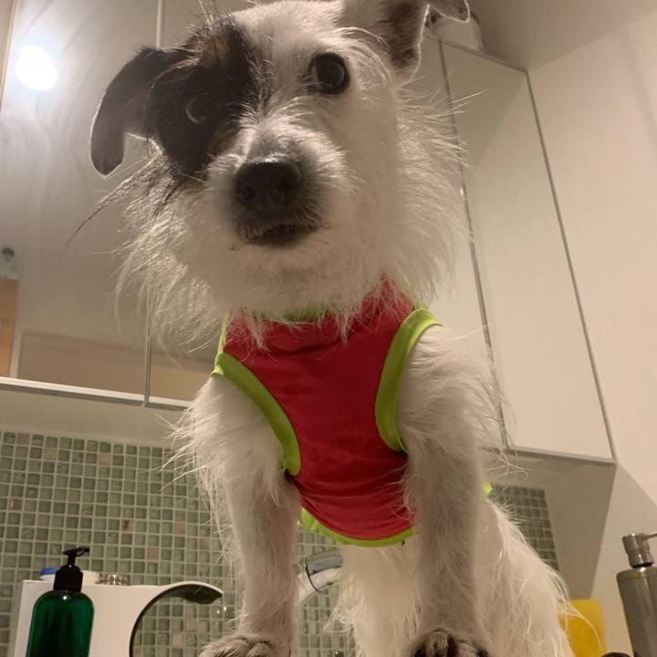 1a3bc723 0bff 4cd4 87a4 3257ad24347b 1714564676423