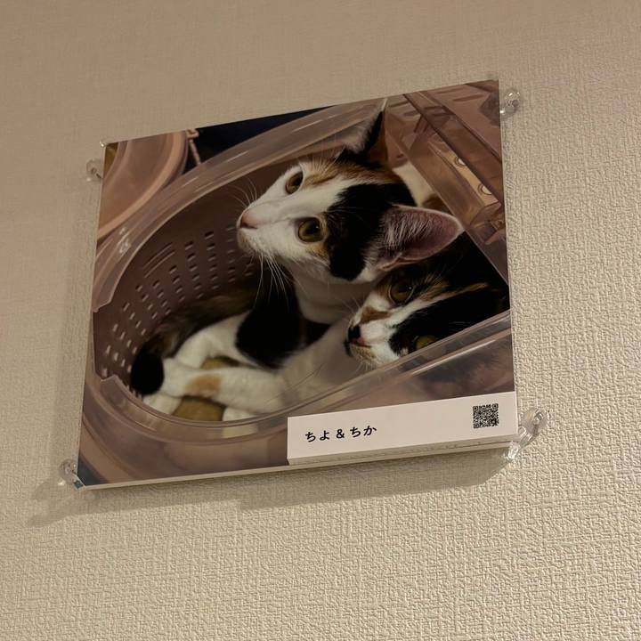 1a3beaf2 68ac 4a64 bb6d 409d9da65bf7 1769328015797