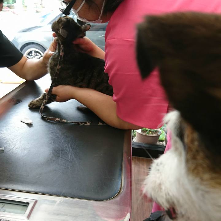 1a3c5ff1 bd6d 4748 9798 46b4009bc5e4 1560228011024