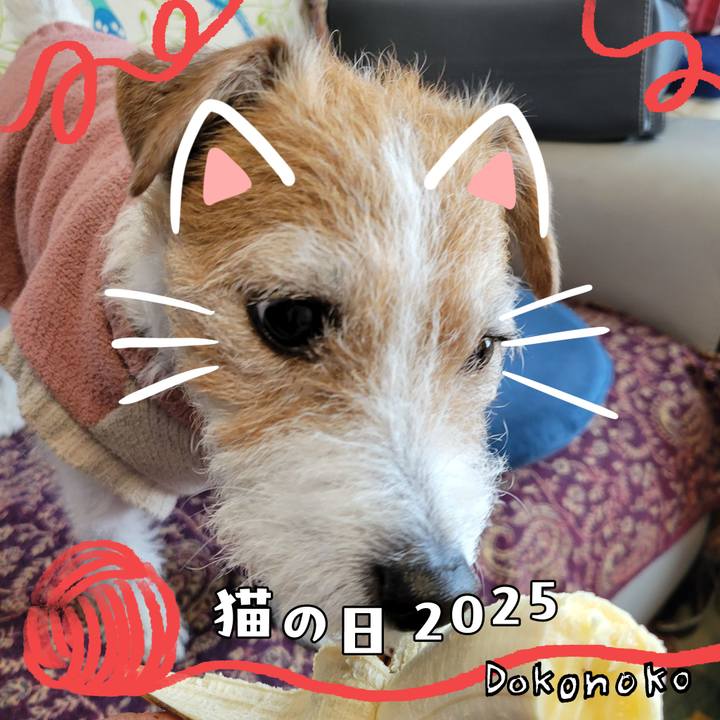 1a3c82dd 6306 4e4e 8f31 df5c36017fa4 1740177671592