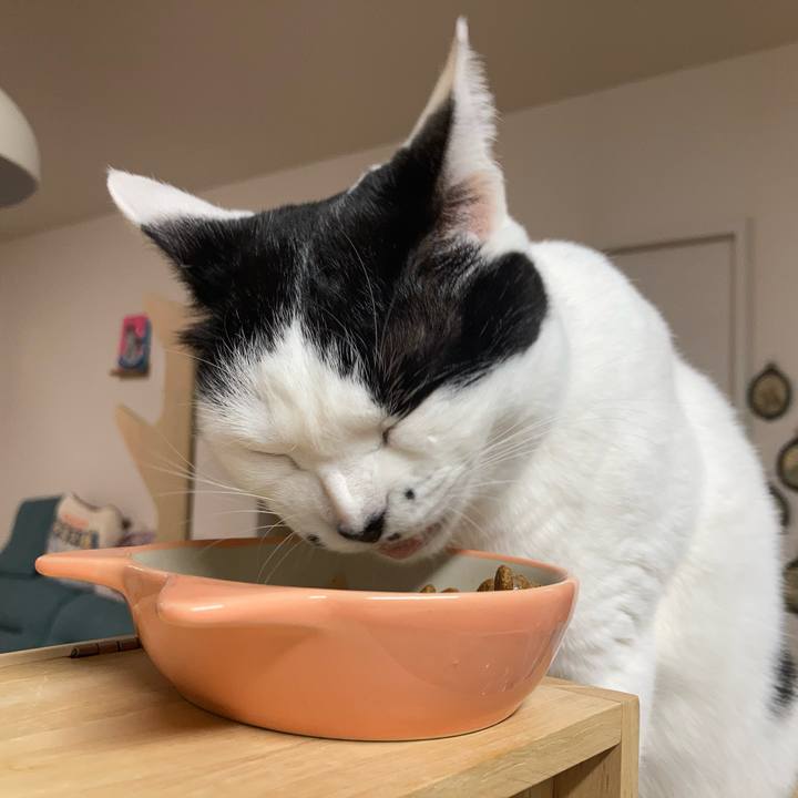 1a3c8d9a df25 4950 95e2 33964ffff801 1767304015266