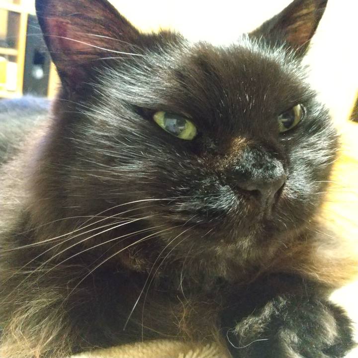 1a3c98a6 2771 4ff3 863a 6e5342ca2a20 1670324165581