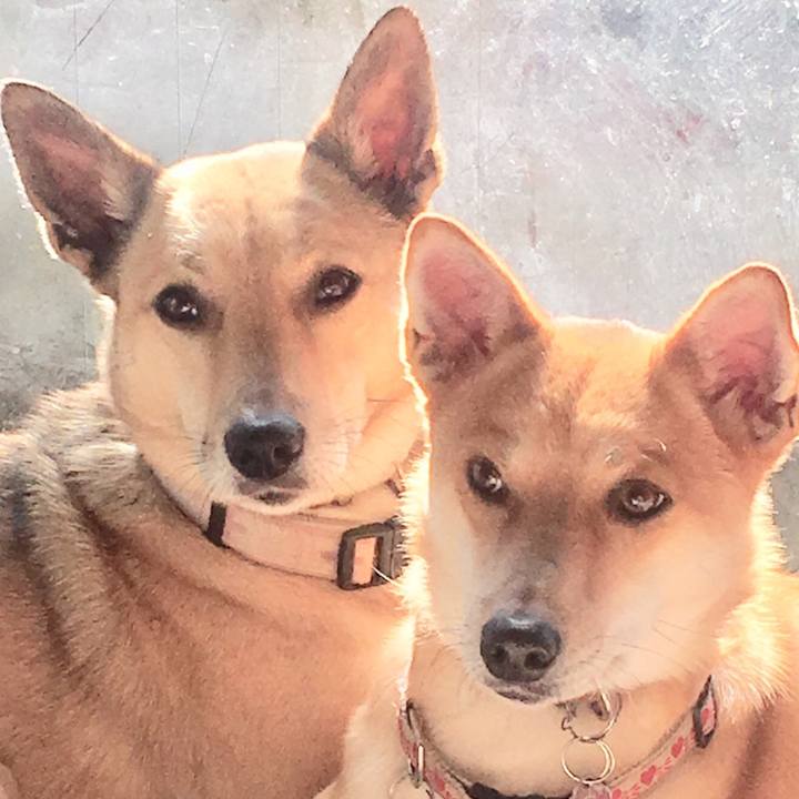 1a3cded5 ff3a 4228 b031 7591a70a632b 1544946872034