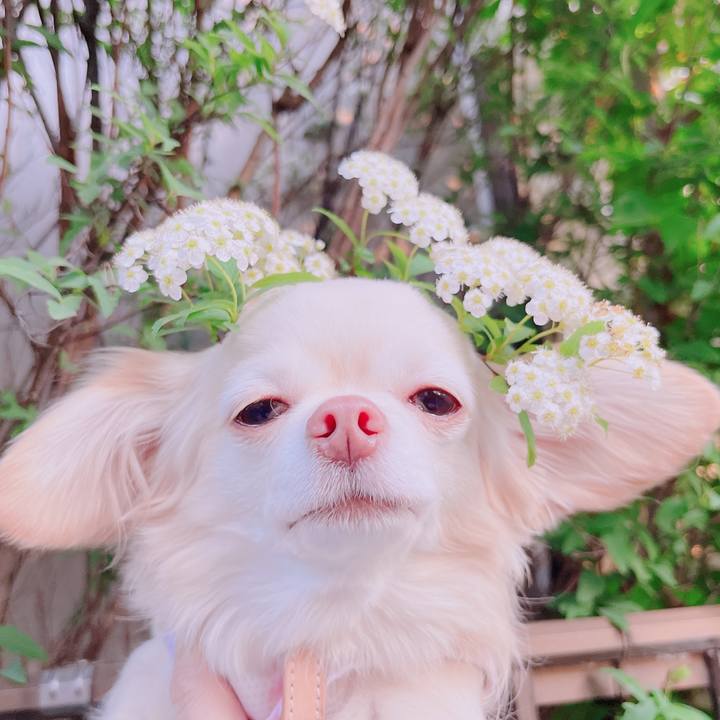 1a3ce59a 00d8 48c6 a7d6 c8b937f2bc2a 1681805900735