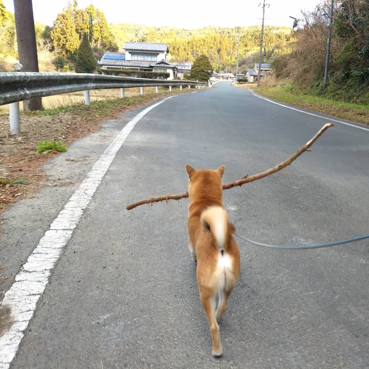 1a3ce671 b66d 4438 8fd9 006cb761c0fa 1547205236185