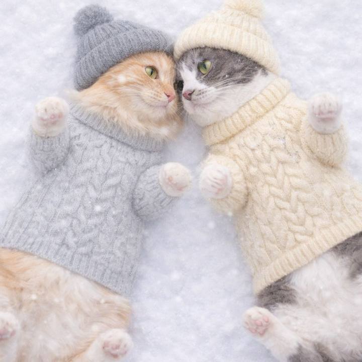 1a3d2768 856b 411e ac42 13b4683620dd 1768028234751