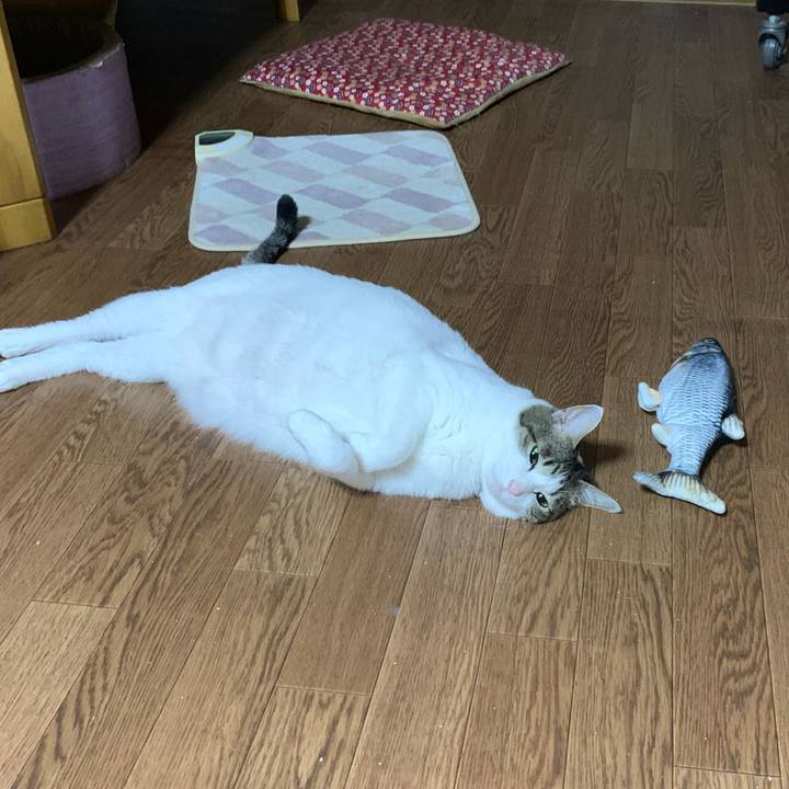 1a3d294a ce9a 4a47 acb5 acc01b32c9b0 1627827615800