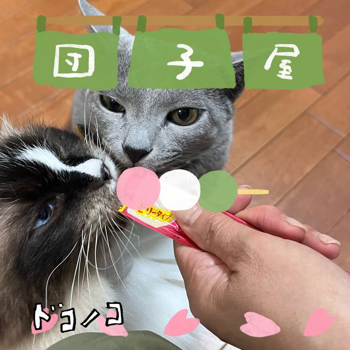 1a3d461f 356a 4fdd 90be 0d311dad3aea 1712654445258