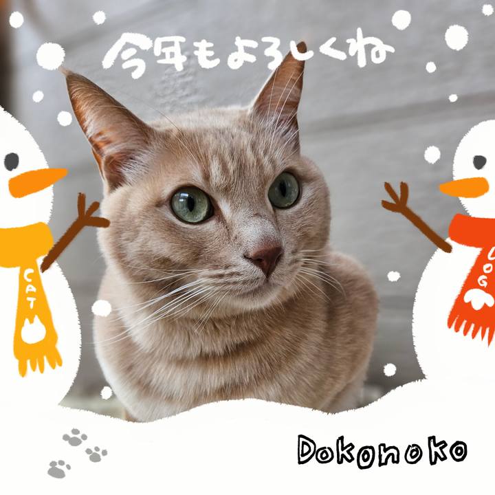 1a3d4f43 d997 4fa7 a9b1 92e7d47a3387 1704068601246