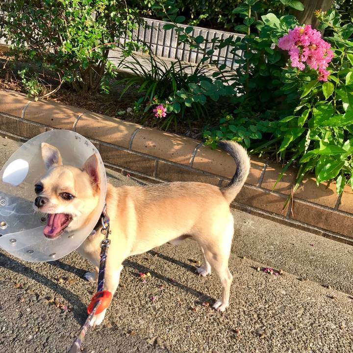 1a3db915 50e7 4dd4 a0c2 735a2fba56d0 1533079985723