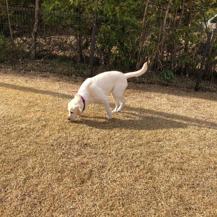 1a3e34d3 c413 46e6 8bc0 9b8c3b629e65 1578776256137