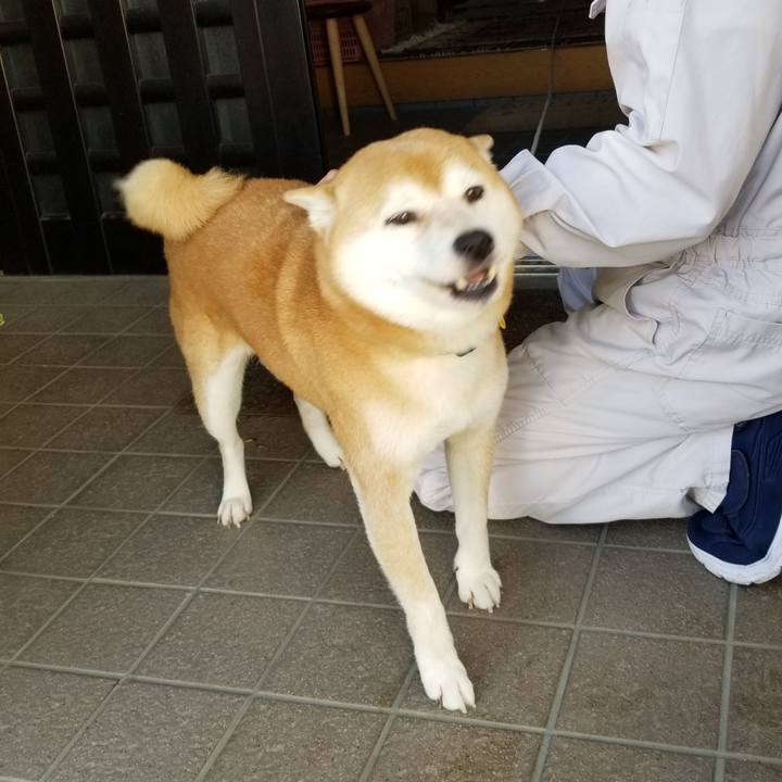 1a3e5119 4035 40dc a686 56ca16b4e046 1567209322699