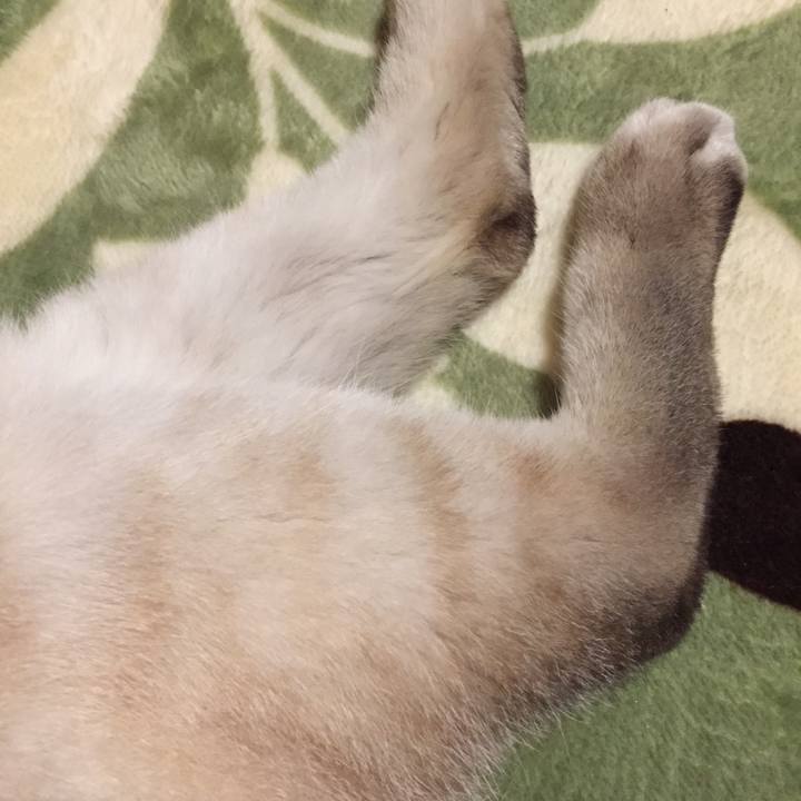 1a3e5a75 2ed8 4401 88f7 cf0ccaf1ce65 1581031406457