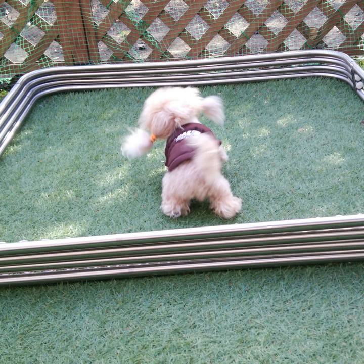 1a3e6f5d be2c 48f6 af28 d73427371ece 1543493702078