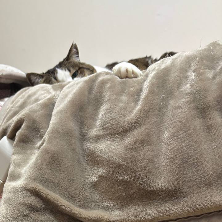 1a3e7d2d 6fee 4e6e 8578 afad712ce573 1768825764144