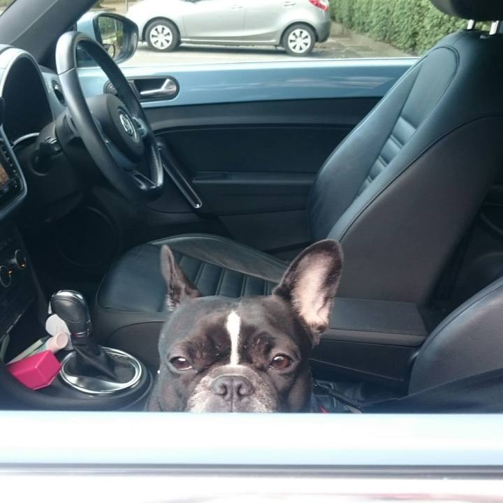 1a3e85ef 4821 4ed0 9d82 bf4a685fd1e2 1521807016720