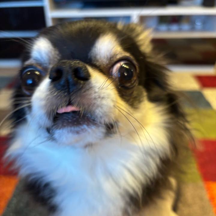 1a3ea843 e227 4219 bf6d ba4180aefc4c 1763225444688