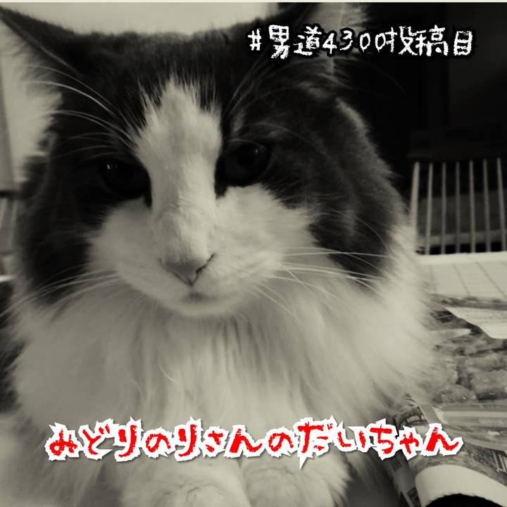 1a3ec089 a7b4 456c b674 b414b89258a6 1575928840750