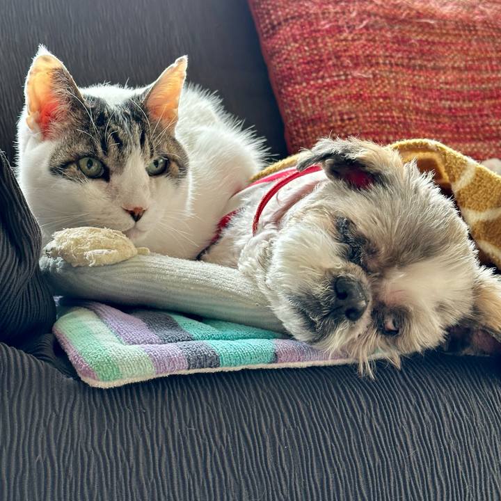 1a3ed158 1d1f 4f84 8ab3 d3170a57711c 1682309357042