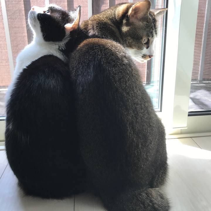 1a3ee7ef e78b 48fc 8ed0 58410184513c 1554087491769