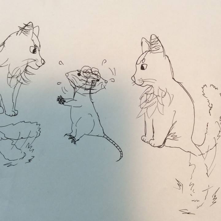 1a3f0960 a3b2 43d8 b113 33d34111efc6 1574632106134