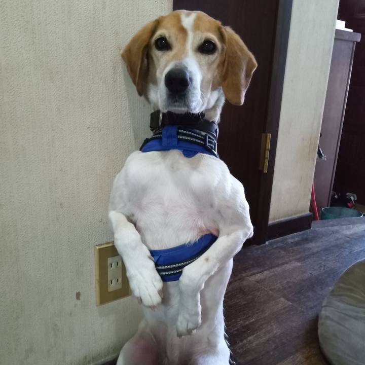 1a3f435e 375b 40eb ae12 a7e299dd3c34 1742469694284