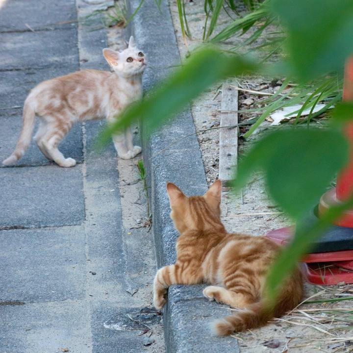 1a3f44e2 37b8 47a3 b208 be71ddf8deb6 1534126095351