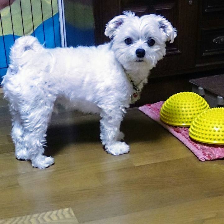 1a3f46d8 e6ba 4139 beb9 3c3661068546 1523541675084