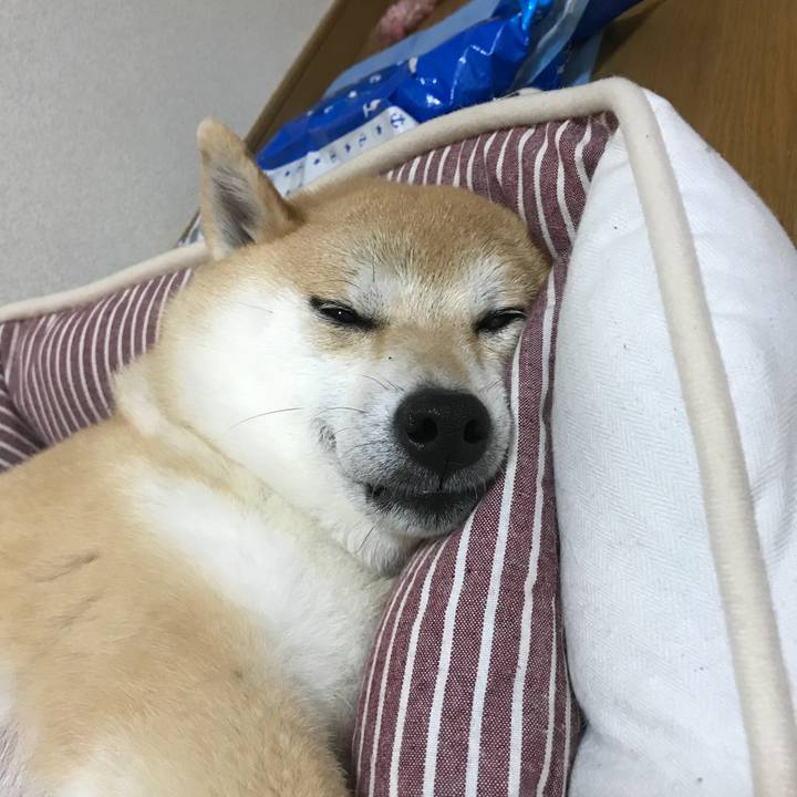 1a3f5895 8559 408a a217 437d799542e9 1527862002703