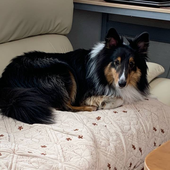 1a3fab50 22b5 41ca a9f9 dc4b0f47e2c2 1588736933568