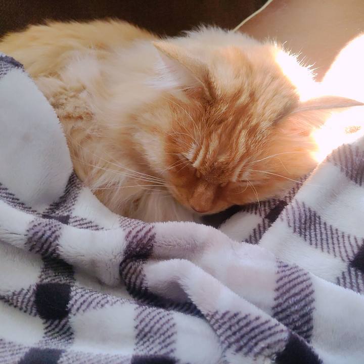 1a3fd107 e933 4535 9dc1 a06c810c7b0e 1679271860987