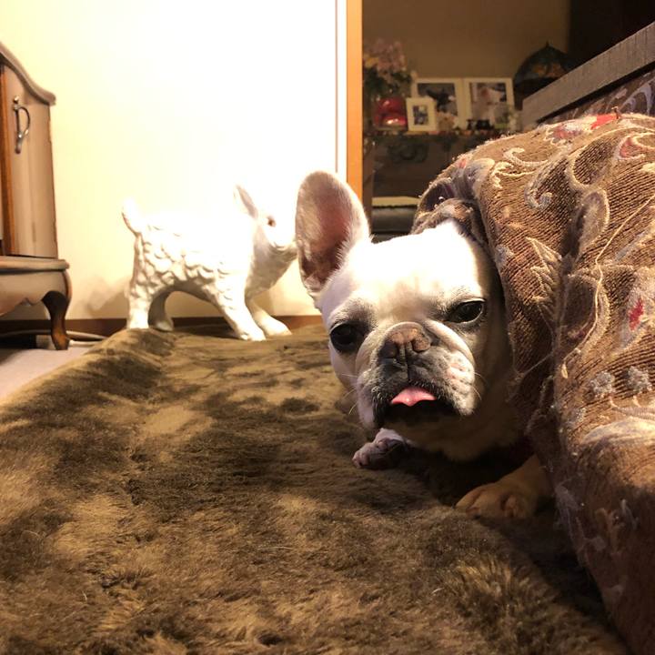 1a3ff143 1d66 461b be99 faddf17a22eb 1610277576444