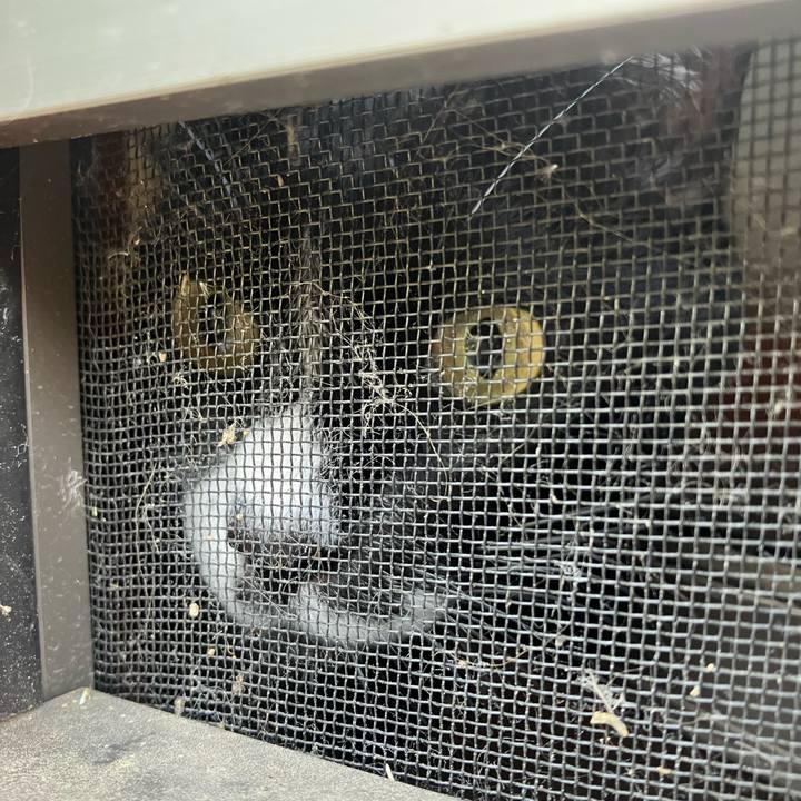 1a3ff980 6b23 4fc9 bc7c 7c1178ce0502 1757477356634