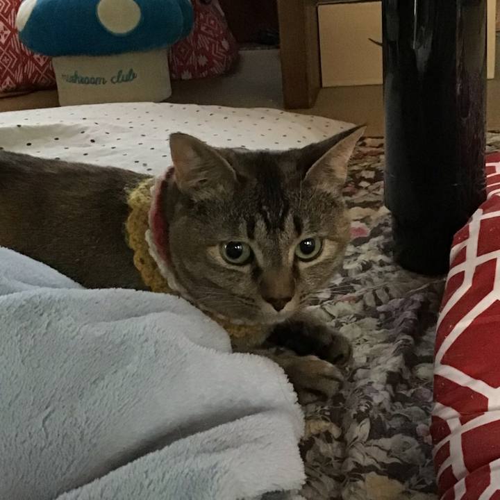 1a402851 afe1 47a5 8fbe abe4a355134e 1623882831221