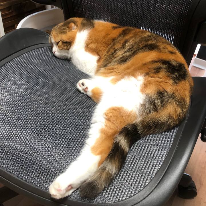 1a4039a5 69e9 4344 aec2 42dbeb953e17 1629953111473