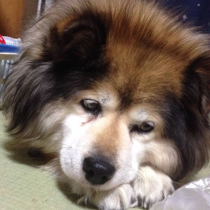 1a406e6e 57e0 4409 be73 3b3e81c58392 1560039886575