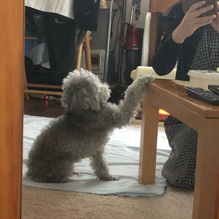 1a40bb09 6f28 44a2 b45f 5d64a6a7f0f9 1710753937337