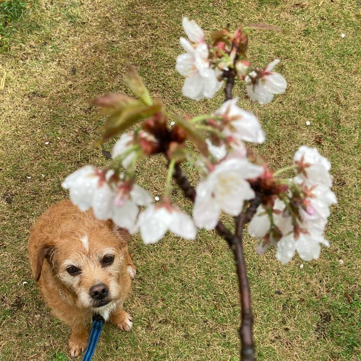 1a40cfbf a596 40bf b7d7 a189e785f72b 1679558987134