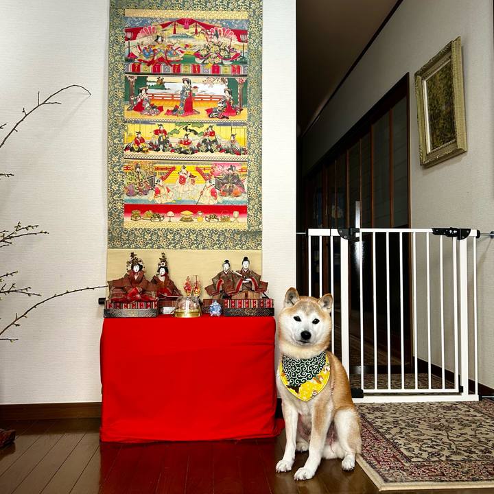 1a4157f3 7cb4 4634 9f63 816f063848b7 1772623332524