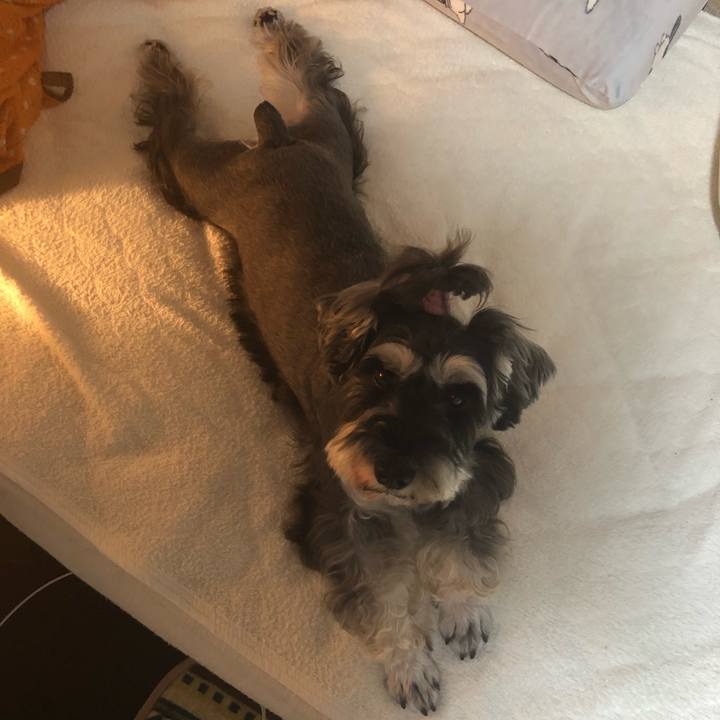 1a417a54 cd71 41c9 8d16 1008af8c376c 1569242999049