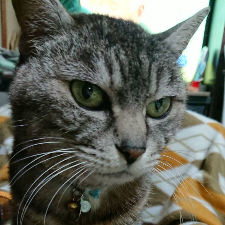 1a419ae9 594f 4059 874d 71b7ee66cee9 1552390561583