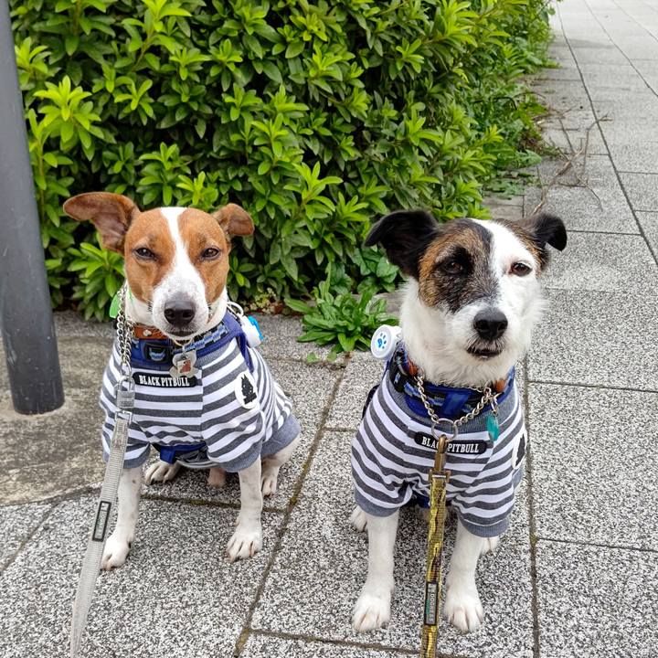 1a41a937 403d 4f84 950d d551e1a4267c 1626300709462