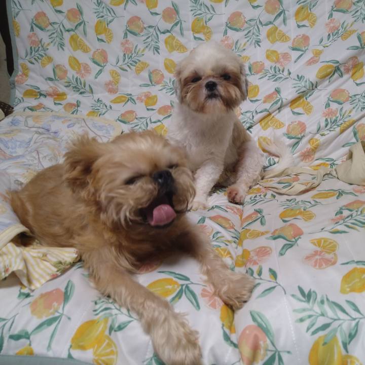 1a41f743 579a 4ddf 95be 474a375534bf 1598926740009