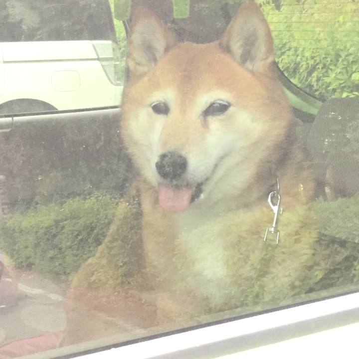 1a420bb4 914b 4794 b922 6dd4aa7d37d7 1620364038167